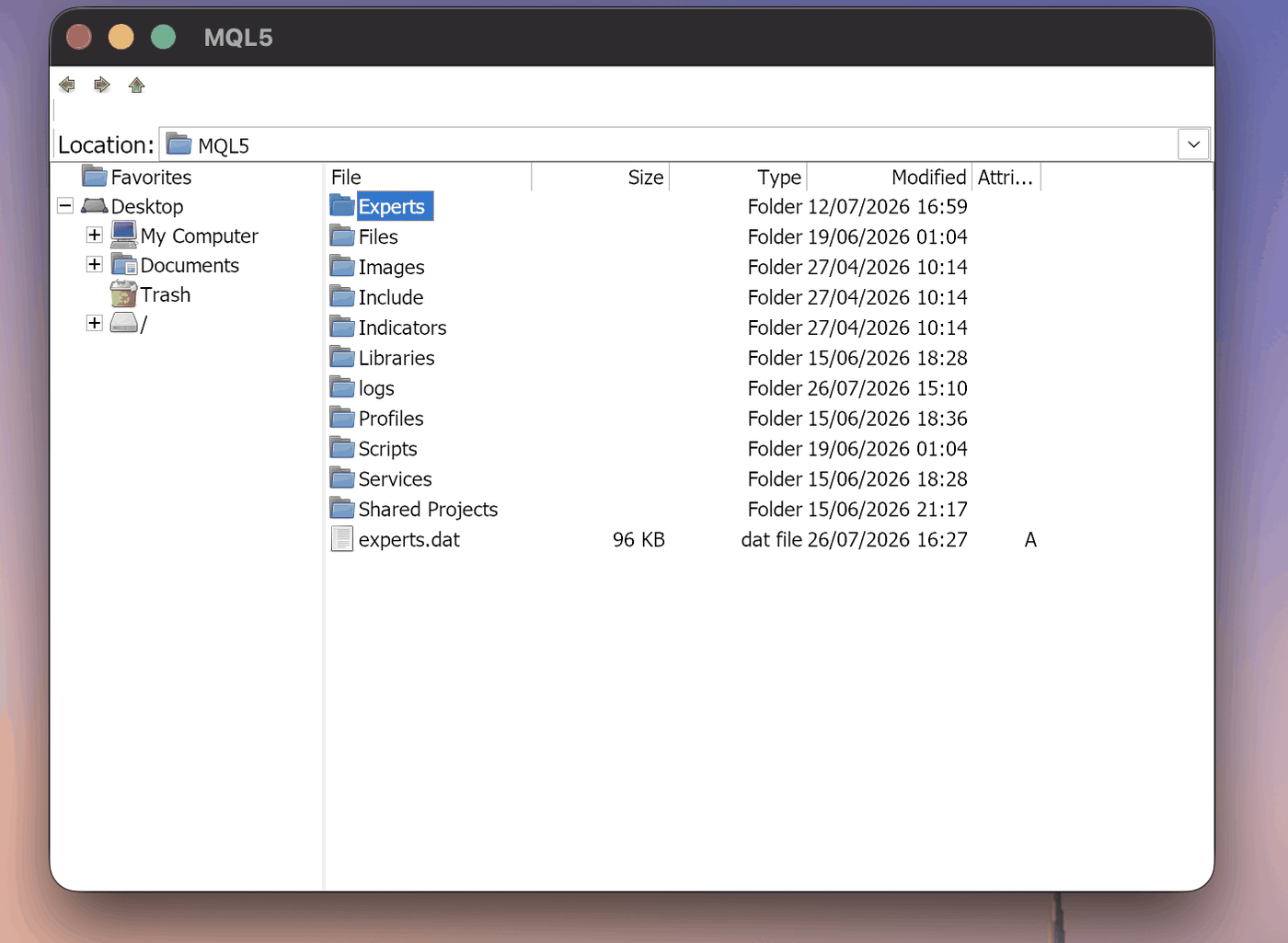 The MQL5 folder with Experts inside