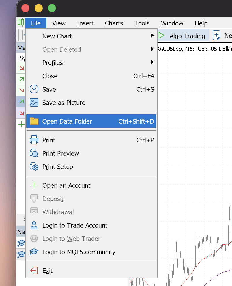 MT5: the File → Open Data Folder menu